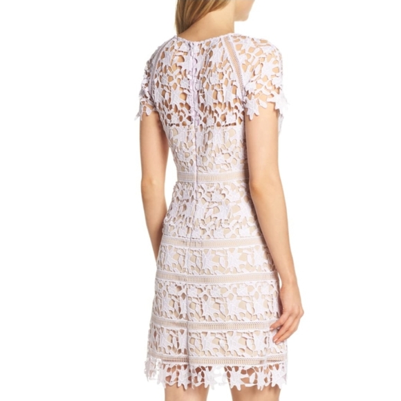 🍒NWT🍒 ELIZA J PASTEL LACE MINI SHEATH DRE - Picture 3 of 6